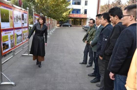 【学习贯彻】高阳煤矿学习十九大精神切实做到"学懂 弄通 做实"